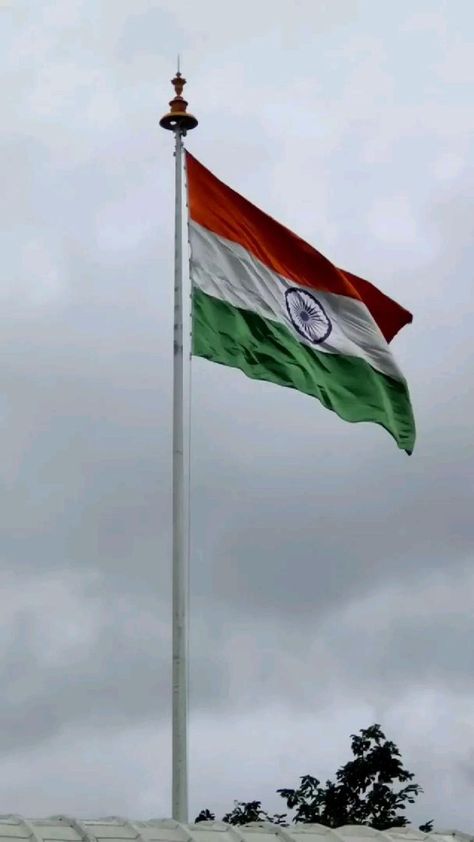 jay hind in 2022 | Indian flag wallpaper, Republic day, Friendship day images Indian Flag Pic, Happy Friendship Day Images, Indian Flag Photos, Friendship Day Images, Memories Aesthetic, Happy Independence Day Images, Flag Images, Indian Army Wallpapers, Indian Flag Images