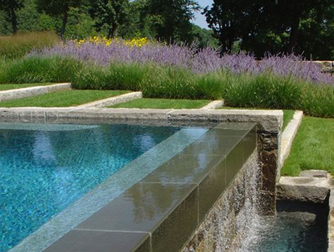 Fernhill Landscapes - BLOG Cape Cod Landscaping, Raised Pools, Farm Pond, Red Garden, Diy Swimming Pool, Swimming Pools Backyard, Swimming Pool Designs, Garden Pool, Pool Design