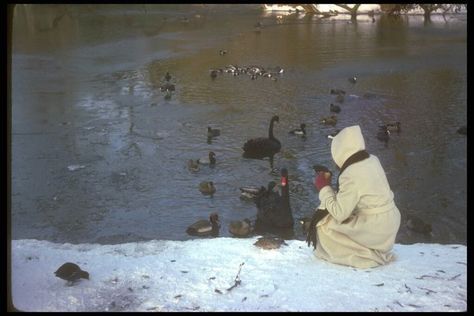 Holden Caulfield, The Black Swan, Catcher In The Rye, Orient Express, Winter Aesthetic, Black Swan, Photography Inspo, Winter Time, Rye