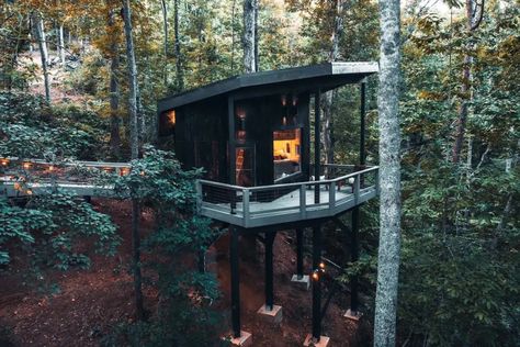 Treehouse Living, Front Porch Swing, Living Roofs, Creature Comforts, Private Patio, Higher Design, Cabin Rentals, Ship Lap Walls, Best Places To Eat