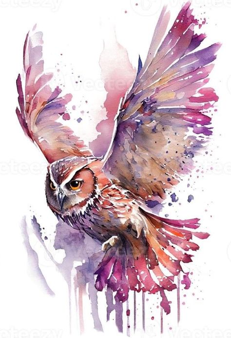 Flying Birds Watercolor, Abstract Watercolor Animals, Owl Drawing Color, Owl Watercolor Paintings, Bird Painting Ideas, Watercolor Animal Paintings, Abstract Owl Painting, Flying Bird Art, Paint Owl