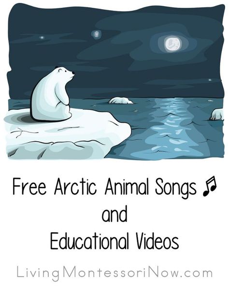 Free Arctic Animal Songs and Educational Videos Arctic Activities, Polar Animals Preschool, Arctic Animals Activities, Arctic Animals Preschool, Animal Songs, Arctic Habitat, Antarctic Animals, Animals Preschool, Animal Lessons