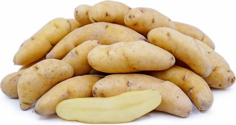 Russian Banana Fingerling Potatoes Information and Facts Fingerling Potatoes Recipes, Potato Images, Choy Sum, Potatoes Recipes, Bell Pepper Recipes, Artichoke Recipes, Good Roasts, Fingerling Potatoes, Berries Recipes