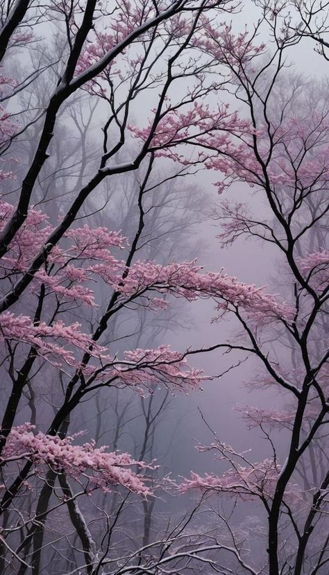 Best Nature Photos, Best Nature, Sakura Tree, My Gift, Pretty Landscapes, Japan Aesthetic, Montage Photo, Iphone Wallpaper Photos, Pink Trees