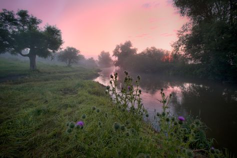 Grantchester Meadows, Cambridge Grantchester Meadows, Writing Aesthetics, Tea And Cake, English Uk, Cambridge Uk, Cambridge England, English Village, Wonderful Nature, Quaint Village