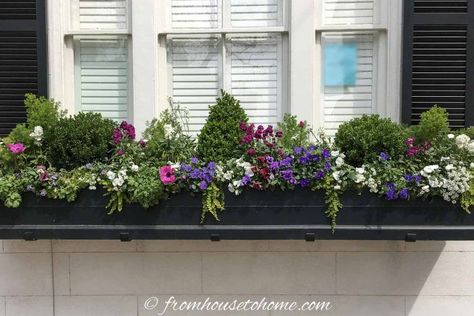 Emerald Arborvitae, Flower Box Ideas, Green Mountain Boxwood, Flower Combinations, Impatiens Plant, Window Box Plants, Shade Landscaping, Beautiful Balcony, Coral Bells Heuchera