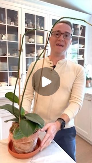 Raffaele Di Lallo on Instagram: "🧙‍♀️🌸Want to Become an Orchid Master? Click the link in my profile to read about my orchid care course. And as a thank you to my loyal followers, use code ORCHIDMASTER to receive $25 off the total cost of the course. 

💻The orchid course goes in depth on light, watering, fertilizing, temperature, humidity, repotting, and more. There is almost 3 hours of video content and you can access it at your leisure at anytime. 

👯And please share with a friend that might enjoy it! 

#indoorplants #orchidlovers" How To Repot An Orchid, How To Revive An Orchid, Watering Orchids, Orchids In Water, Repotting Orchids, Orchid Fertilizer, Orchid Plant Care, Orchid Plant, Orchid Pot