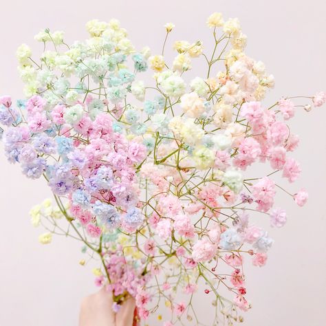 Pastel Rainbow Aesthetic, Deco Pastel, Idee Babyshower, Rainbow Aesthetic, Pastel Pink Aesthetic, Trendy Flowers, Aesthetic Pastel, Pastel Flowers, Pastel Background