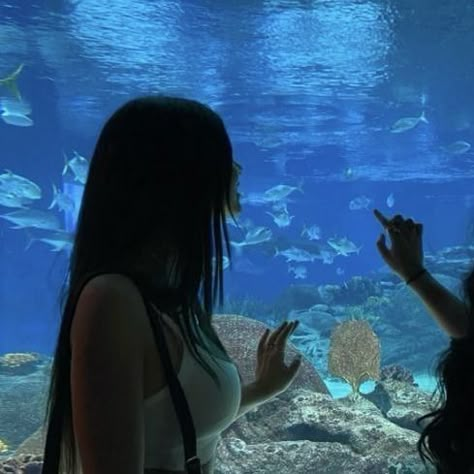 Aquarium Aesthetic, Aquarium Date, Bff Pfp Matching Aesthetic, Aquarium Pictures, Best Friend Match, Pencak Silat, Pfp Matching, Foto Ideas Instagram, Marine Biology