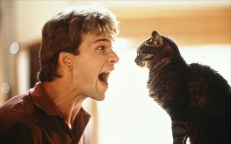 ghost-1990-03-g Ghost Patrick Swayze, Patrick Swazey, Patrick Swayze Dirty Dancing, Ghost Movie, Julia Ormond, 1990s Films, Men With Cats, Ghost Movies, Film Journal