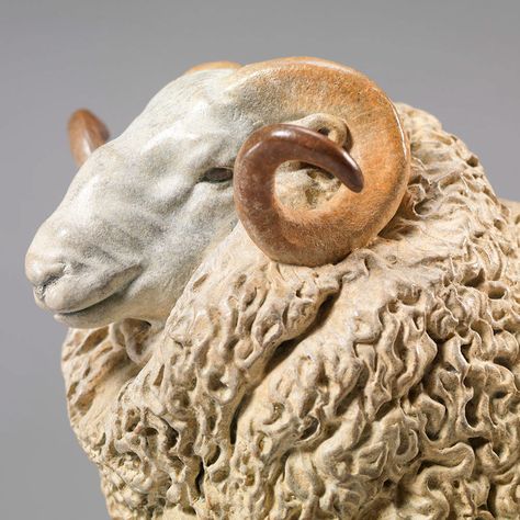 Sheep Breeds, Sheep Art, Sculptures Céramiques, Clay Animals, Horse Sculpture, Ceramic Animals, Figurative Sculpture, Aberdeen, Animal Sculptures