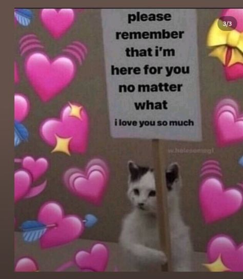 Love You Meme, Cute Cat Memes, Cute Love Memes, Silly Cats Pictures, Cute Texts For Him, Pinterest Memes, I Love My Girlfriend, Cute Messages, Wholesome Memes