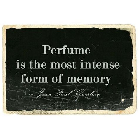 Parfum Quotes, Fragrance Quote, Perfume Quotes, Memories Quotes, Sea World, Fashion Quotes, Story Instagram, Women Perfume, Old Money