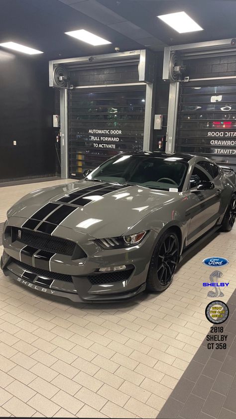 Mustang Shelby Gt 500, Ford Mustang Shelby Gt350, Mustang Gt350, Ford Mustang Shelby Gt, Shelby Gt350, Shelby Mustang, Ford Mustang Shelby Gt500, Lux Cars, Shelby Gt