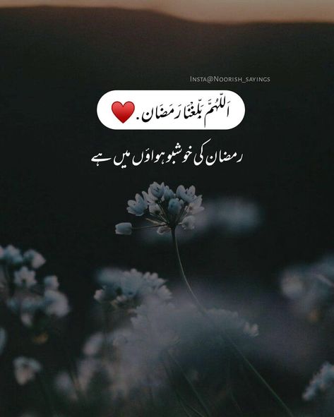 #𝑨𝒓𝒊𝒔𝒉__𝑻𝒂𝒊𝒎𝒐𝒐𝒓 Ramazan Quote In Urdu, Ramzan Hadees In Urdu, Ramdan Coming Quotes, Ramazan Coming Soon, Ramazan Wishes, Ramzan Quotes In Urdu, Ramzan Coming Soon, Ramadan Coming, Ramadan Dpz