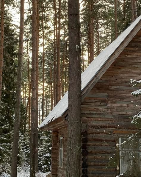 Winter Cabin Aesthetic, Romanticizing Winter, Lottie Matthews, Rain And Coffee, Winter Mood Board, Winter Moodboard, I Smell Snow, Winter Aesthetics, Cabin Aesthetic