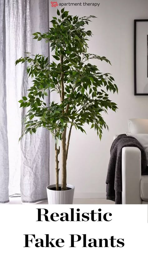 A Very Real Guide to Buying Very Fake Plants | A major benefit to plastic plants, though, is that many of the trendy house plants in modern home décor kind of look plastic to begin with. Silk plants are also much more prone to wear-and-tear than fake plants. It's a dead giveaway you've got a faux fern on your hands when its leaves are frayed or bleached out by the sun. Artificial House Plants Home Decor, Artificial Trees Indoor Decor, Artificial Plants Indoor Decor, Best Fake Plants, Best Artificial Plants, Best Indoor Trees, Fake Plants Decor Bedroom, Artificial Plant Arrangements, Weeping Fig