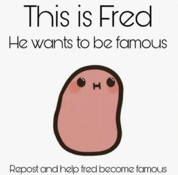 Fred is a loving potato in need of your help! His dream is to become famous, but he needs you guys to repost! Please help this potato! Cute Potato Cartoon, Potato Quotes, Potato Drawing, Potato Picture, Cartoon Potato, Potato Funny, Kawaii Potato, Cute Potato, Mini Doodle