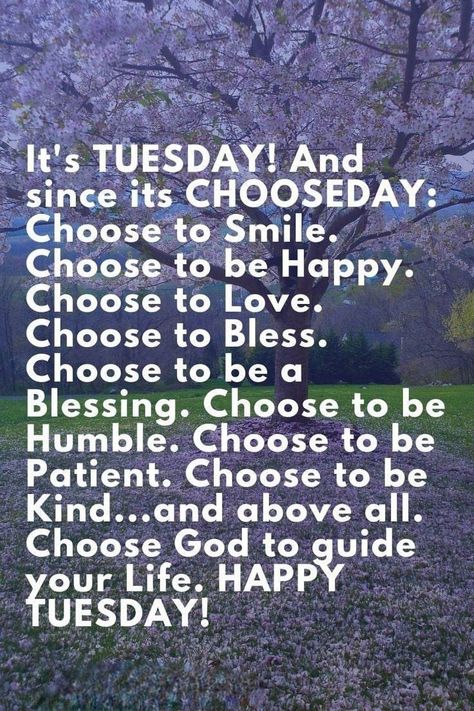 Tuesday Motivation Quotes Encouragement, Tuesday Motivation Quotes, Faith Motivation, Gratitude Thankful, Happy Tuesday Quotes, Monday Motivation Quotes, Tuesday Quotes, Tuesday Motivation, Faith Love