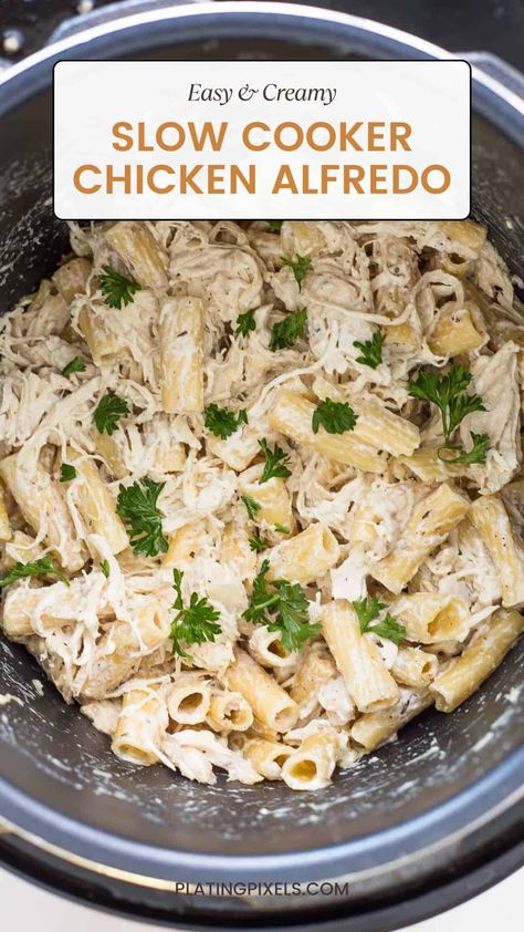 This rich and creamy Slow Cooker Chicken Alfredo has minimal prep and cleanup. Simply throw the ingredients into your crockpot and let it do all the work. The slow cooking process ensures that the chicken is tender and the sauce turns out rich and silky. via @platingpixels Chicken Alfredo Crock Pot, Slow Cooker Chicken Alfredo, Crockpot Chicken Alfredo, Crock Pot Recipe, Easy Slow Cooker Chicken, Chicken Alfredo Recipes, Easy Dinner Recipes Crockpot, Slow Cooker Dinner, Chicken Alfredo