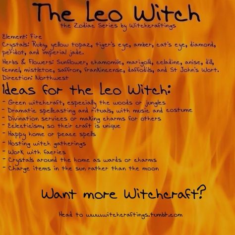 The path of the Witch for a Leo... Leo Witch, Pagan Prayers, Irish Gods, Zodiac Witch, Vibe Higher, Garden Temple, Astrology Magic, Witchcraft Stuff, Beginner Witch