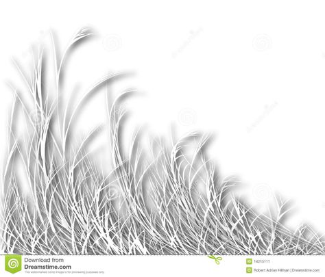 Shadows Illustration, Stock Illustration, Stock Images, Herbs, Abstract Artwork, White, Quick Saves