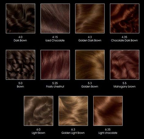 Burgundy Hair Colour For Indian Skin, Olia Hair Color, Brown Hair Color Chart, Hair Color Brown Chestnut, Garnier Olia, Hair Doos, Warm Hair Color, Chestnut Brown Hair, Red Hair Inspiration