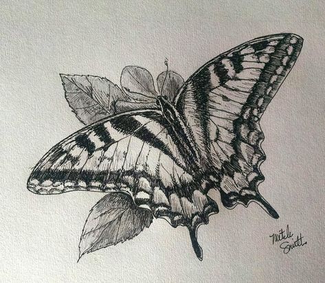 Animal Biro Drawing, Tiger Swallowtail Tattoo, Tiger Swallowtail Butterfly Drawing, Biro Butterflies, Butterfly Ink Drawing, Tiger Swallowtail Butterfly Tattoo, Butterfly Pen Drawing, Swallowtail Tattoo, Biro Drawing