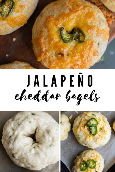 Jalapeno Bagels Recipe, Jalapeno Cheddar Bagel Recipe, Jalapeno Bagels, Cheddar Bagel Recipe, Cheddar Bagels, Bagel Recipe Easy, Seasonal Baking, Cheese Bagels, Best Bagels