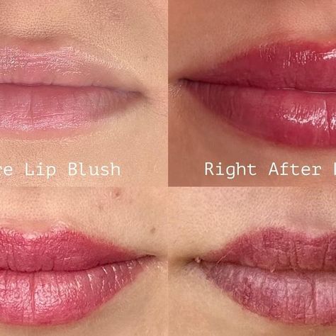 Sarina Solis on Instagram: "For those wondering, here’s a glimpse into what the lip blush healing process looks like…🩷" Lip Blush Healing Process, Lip Blush, Healing Process, Blush, Lips, Healing, On Instagram, Instagram