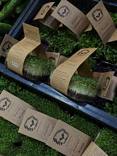 Microgreens Business Ideas, Microgreen Display, Microgreens Packaging Ideas, Microgreen Packaging, Microgreens Packaging, Farm Market Ideas, Microgreens Garden, Fruit And Veg Shop, Vegetable Packaging