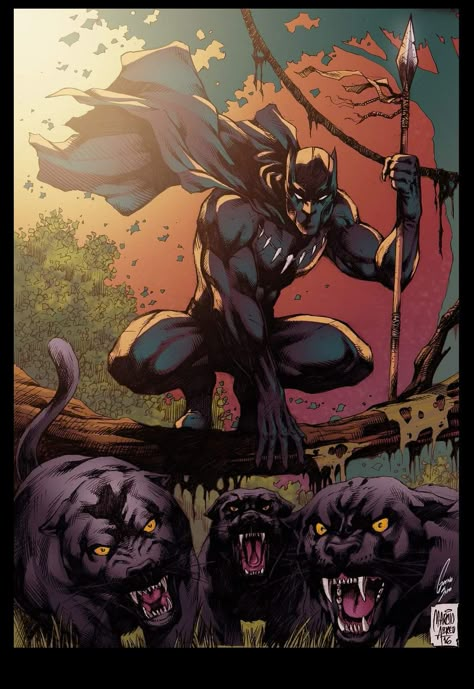 Black Panther Fanart, Black Panther Comic, Black Panther King, Panther Pictures, King T Challa, Panther Tattoo, Superhero Poster, Black Panther Art, Panther Art