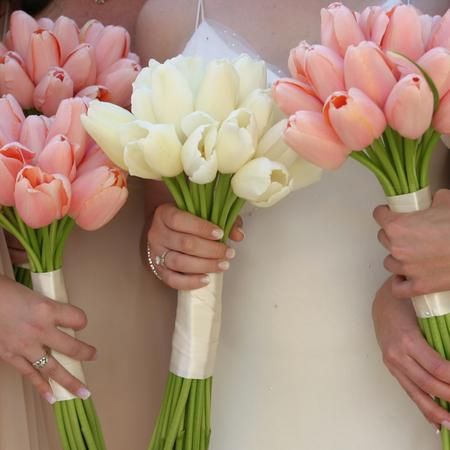 Tulip bouquet | Flickr  Gorgeous wedding bouquets! Aline for weddings Elegant! Wedding Flowers Tulips, Wedding Flower Trends, Pink Spring Flowers, Gorgeous Wedding Bouquet, Tulip Wedding, Peony Bouquet, Tulip Bouquet, Spring Wedding Flowers, Wedding 2024