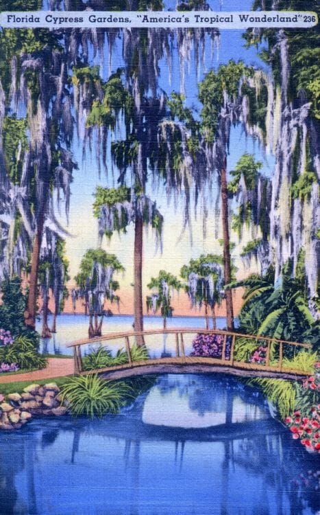 Tropical decorating inspiration from 12 vintage Florida postcards - Retro Renovation Cypress Gardens Florida, Tropical House Decor, Vintage Tropical Decor, Florida Aesthetic, Florida Attractions, Florida Decor, Cypress Gardens, Florida Art, Retro Renovation