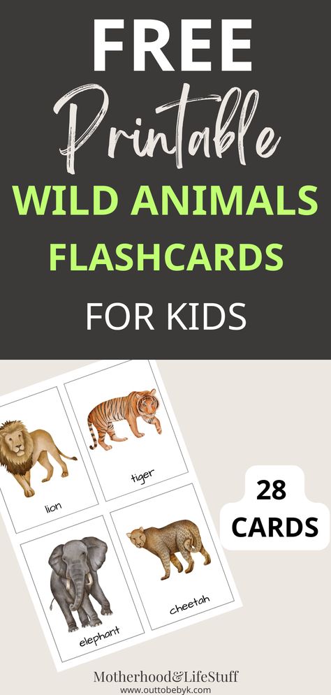 wild animals flashcards Jungle Animal Flashcards Printable Free, Free Vocabulary Printables, Wild Animals Activities For Kindergarten, Animal Cards Printable, Zoo Animal Flashcards Free Printable, Wild Animal Activities For Preschool, Animal Flashcards Printable Free, Animal Printables For Kids, Wild Animals Preschool