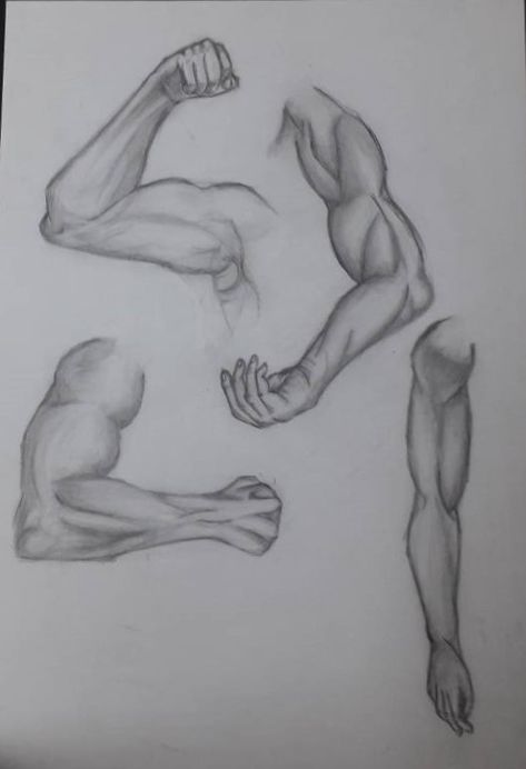 Muscle arm sketch Bent Arm Muscle Reference, How To Draw A Muscle Arm, Back Muscles Sketch, Arms Sketch Female, How To Draw Muscles Arms, Men Arms Drawing, Muscle Sketch Anatomy, Muscle Hand Drawing, Wrestling Drawing Reference