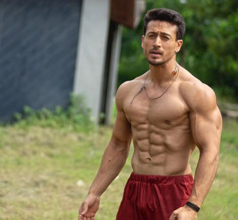 Tiger Shroff Body, Six Pack Body, Ab Workout Men, Tiger Shroff, Male Fitness Models, Street Workout, Workout Regimen, Six Pack, Muscular Men