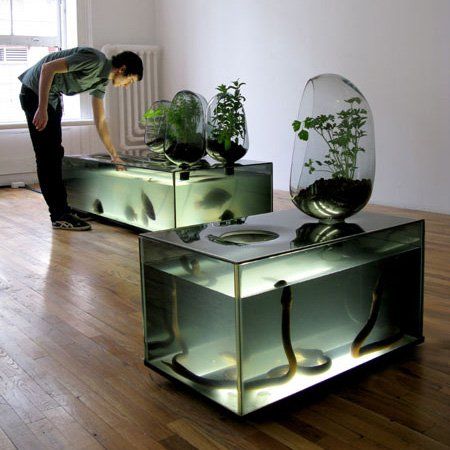 Here are some photographs of Mathieu Lehanneur's domestic “refrigerator-aquarium” called Local River, on show at Artists Space Gallery in New York. The aquarium breeds freshwater fish for eating and grows vegetables in glass domes, which help to purify the water. The concept allows people to rear food at home, thereby reducing the environmental impact of Plant Cases, Mathieu Lehanneur, Amazing Aquariums, Indoor Water Garden, Freshwater Aquarium Fish, Aquarium Design, Aquaponics System, Aquascaping, Planted Aquarium