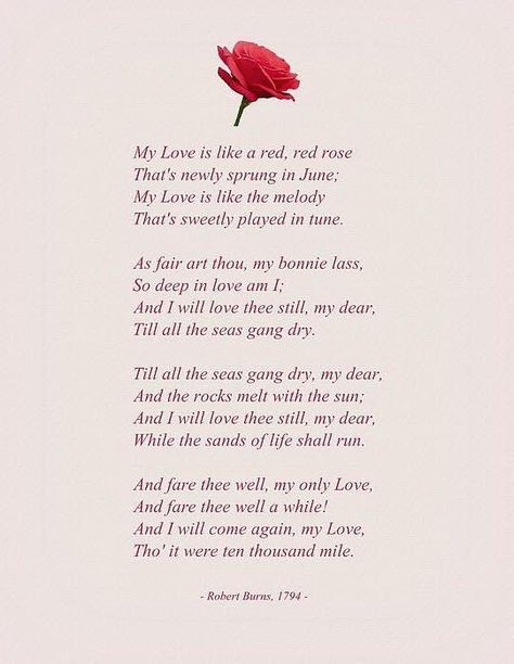 Rose Poems, Flower Poem, Romantic Love Pictures, Robert Burns, Best Poems, Engagement Dress, Wedding Quotes, Sweet Quotes, Writing Poetry