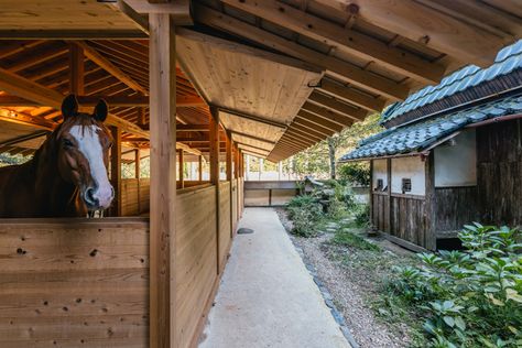 local wood + traditional japanese joinery shape 2m26's kyoto stable Stable Architecture, Wooden Summer House, Penthouse Interior Design, Architecture In Japan, Japanese Carpentry, Japanese Traditional Architecture, Summer House Design, Architecture Japan, Japanese Joinery