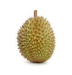 Durian Fruit, Food Distribution, Printable Paper Patterns, Vegetable Pictures, Bubble Tea Boba, Funny Yugioh Cards, Cute Ducklings, Boy Blurred Pic, Computer Wallpapers