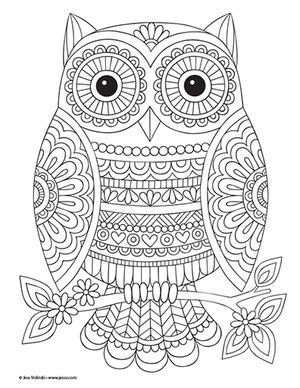 Owl Designs, Owl Coloring Pages, Free Adult Coloring Pages, Mandala Design Art, Coloring Pages To Print, Mandala Coloring Pages, Cute Coloring Pages, Mandala Drawing, Free Printable Coloring