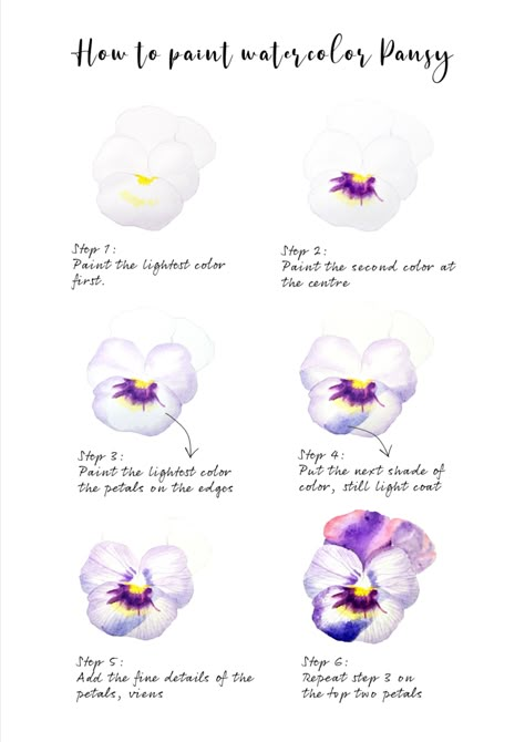 Easy steps to painting realistic watercolor pansies Pansy Flower Watercolor, Pansy Painting Acrylic Easy, Watercolor Pansy Tutorial, Pansy Watercolor Paintings, Watercolor Pansies Tutorial, Drawing Pansies, Pansies Watercolor, Pansies Painting, Pansy Painting