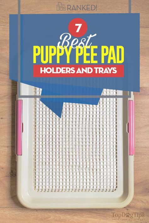 Puppies are cute; there is no denying that. But, puppies also make a big mess. They chew, shred up toys and go to the bathroom in the house. Potty training is usually the first thing that new dog owners work on with their pup, and it can be quite frustrating. Potty training a puppy takes a lot of time and patience. Plus, you’ll need the right tools, like the best puppy pee pad holder. Dog Pee Pad Area, Puppy Pee Pad Ideas, Pee Pad Holder Ideas, Pee Pad Training Puppies Dogs, House Training A Puppy, Dogs Ideas, Training A Puppy, Dog Clicker Training, House Training Puppies