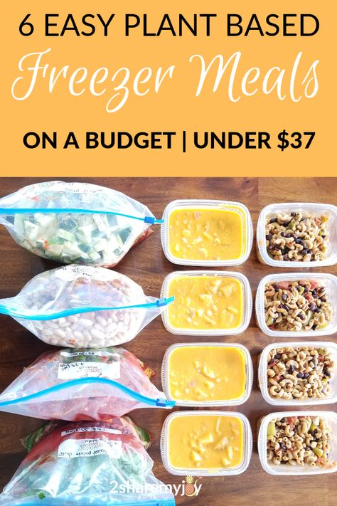 Plant Based Freezer Meals, Freezer Meals On A Budget, Vegan Freezer Meals, Crockpot Meal Prep, Vegetarian Freezer Meals, Meals On A Budget, Budget Freezer Meals, Food Fails, Healthy Freezer Meals