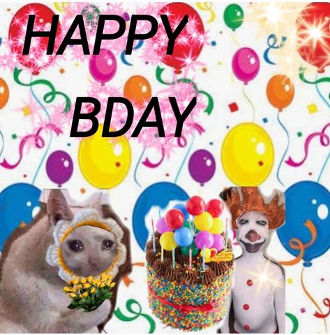 Cursed Happy Birthday Images, Cute Birthday Meme, Silly Happy Birthday, Birthday Wishes Memes Funny, Happy Birthday Memes, Happy 24th Birthday, Happy Birthday Animals, Happy Birthday Cat Meme, Happy Birthday To Me Cat Memes