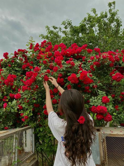 Pictures Of Roses Photography, Beautiful Pictures For Profile, Aesthetic Picture Girly, Girl With Roses Aesthetic, Picture Girly Cute, Rose Girl Aesthetic, Flowers Pictures Instagram, Flower Poses Photo Ideas, Girl With Flowers Aesthetic