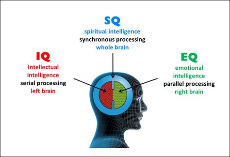 Spirituality for Atheists Spiritual Intelligence, Left Brain Right Brain, Scientific Revolution, Multiple Intelligences, Philosophy Of Science, Collective Consciousness, Work Skills, Right Brain, Knowledge And Wisdom