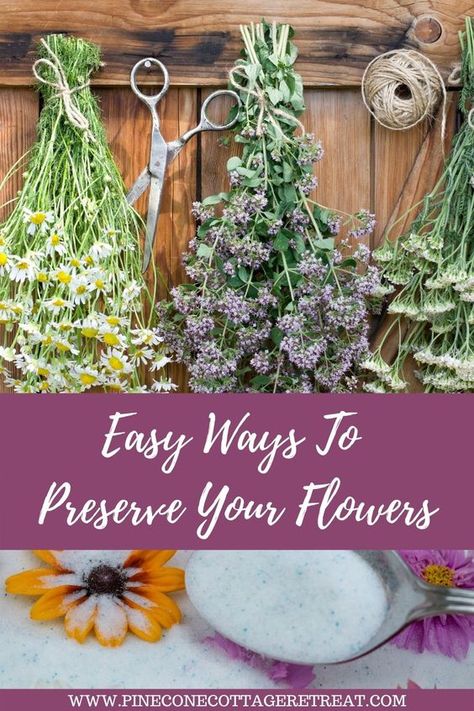 How To Dry Daisies, How To Preserve Dried Flowers, How To Dry Flowers And Keep Color, Diy Dried Flowers Crafts, Things To Do With Dried Flowers, How To Dry Out Flowers, Dry Sunflowers, Drying Plants, Dried Flowers Ideas