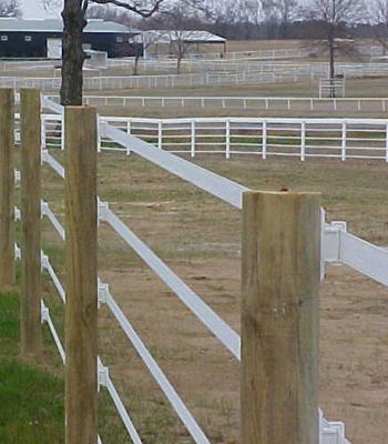 Poly tape horse fencing | The Pro-Tek electric tape fence is highly visible and comes in white ... Cheap Horse Fence, Cheap Horse Fencing, Pasture Fencing, Horse Fence, Horse Paddock, Stable Ideas, Horse Arena, Horse Shelter, Horse Facility